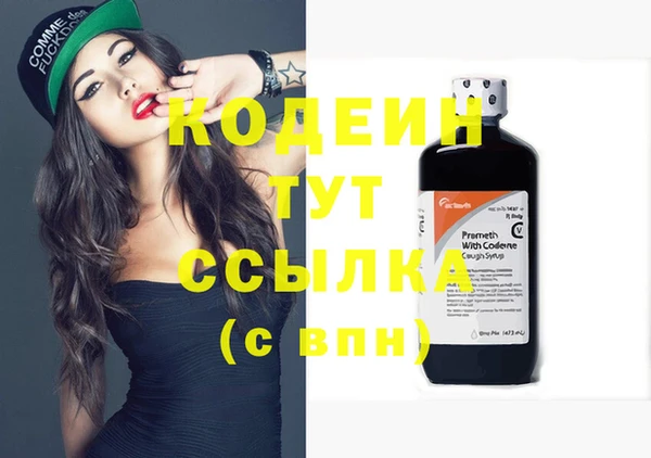 гашик Нягань