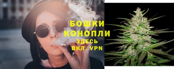 гашик Нягань