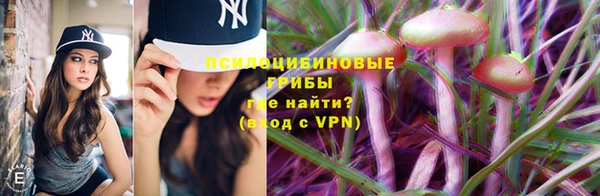 молекула духа Остров
