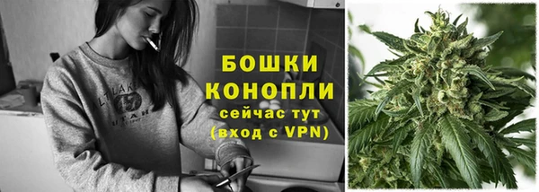 гашик Нягань