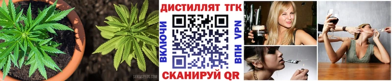 купить   Темников  Дистиллят ТГК вейп с тгк 