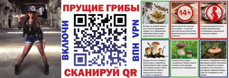 Псилоцибиновые грибы Psilocybe Темников